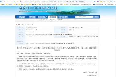 擎华 | 光伏智能运维平台及安全生产智能监控哨兵入选南京市“小快轻准”推荐名单